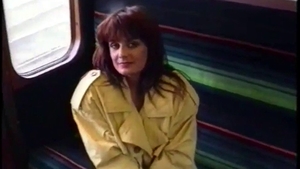 Hard nailining perfect brunette in sexy lingerie