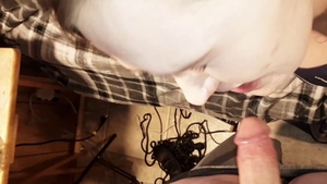 Princess receives hard ramming in HD