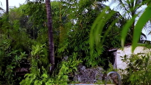 Big ass asian girl fingering in HD