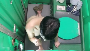 Swallow in the company of amateur